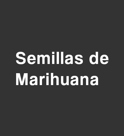 Semillas de Marihuana